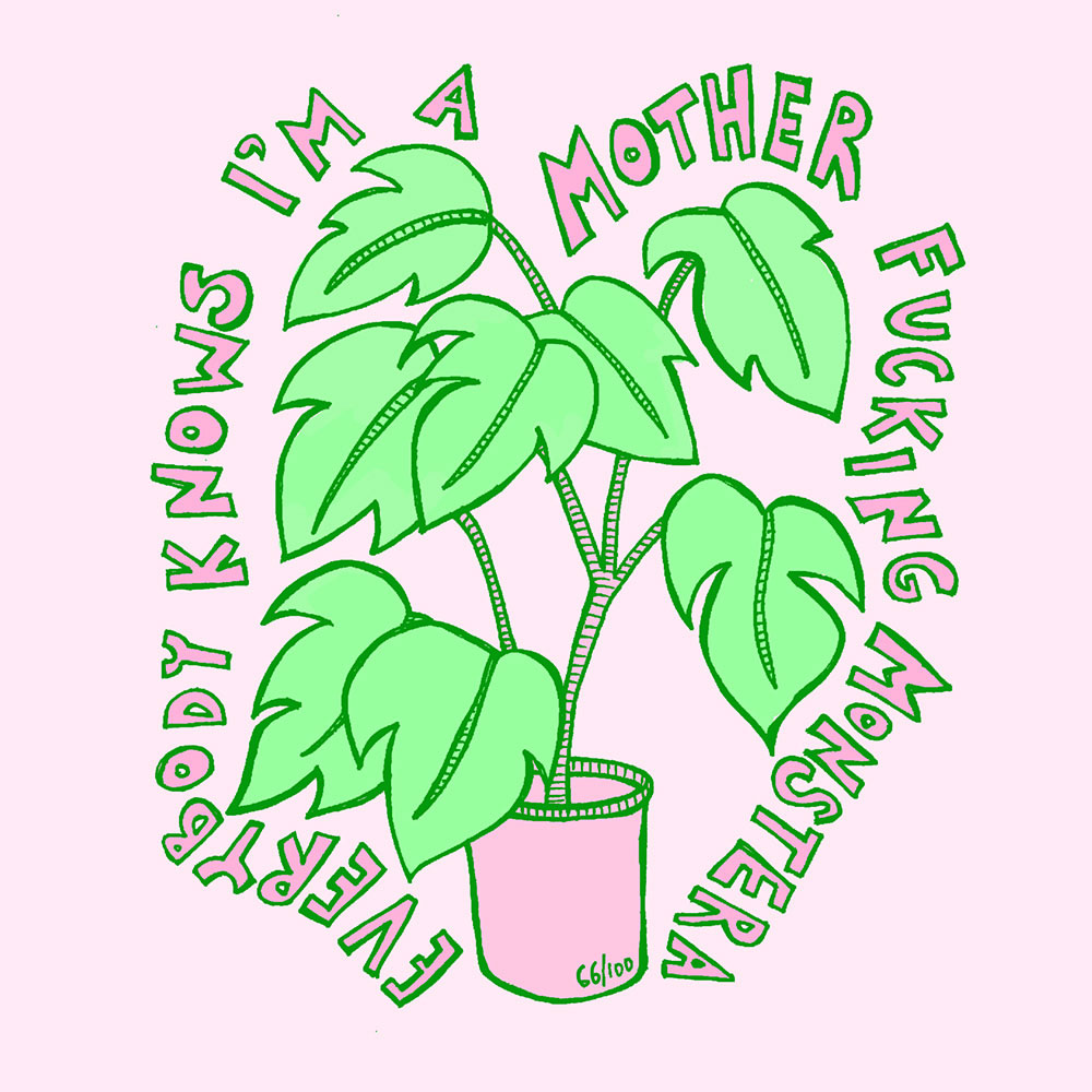 66_monstera.jpg