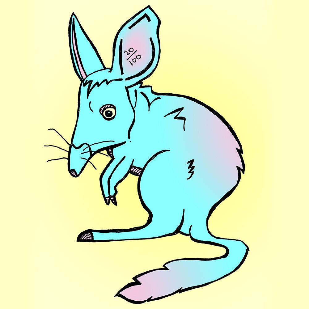 20_bilby.jpg