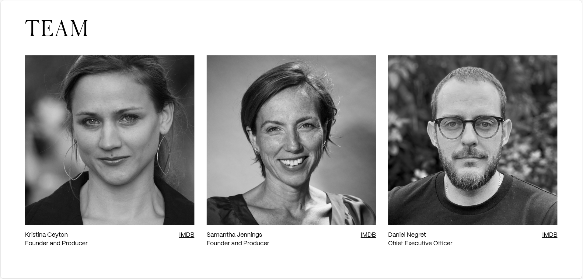 Pinkline Films homepage view of website